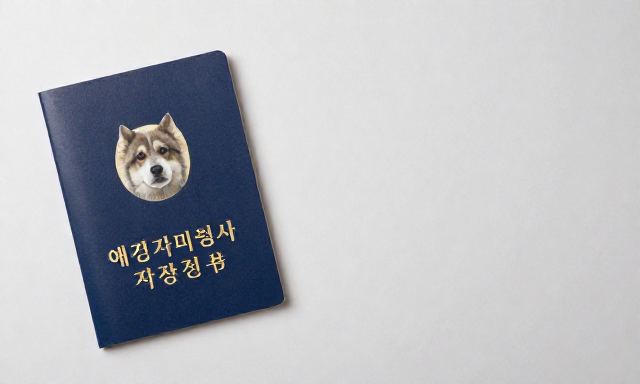 애견미용사자격증 관련 이미지 - 애견미용사자격증 취득부터 현장 실무까지, 12년 차가 들려주는 현실적인 조언