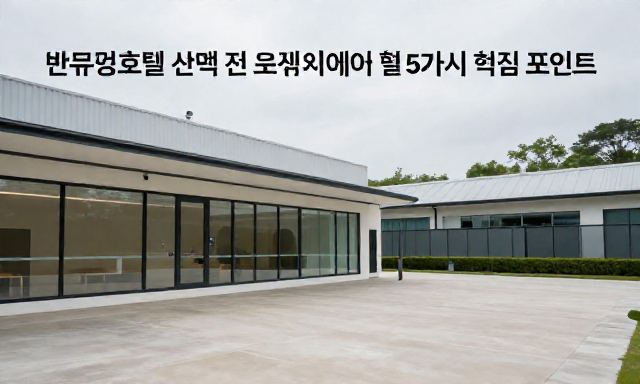 반려견호텔 관련 대표 이미지