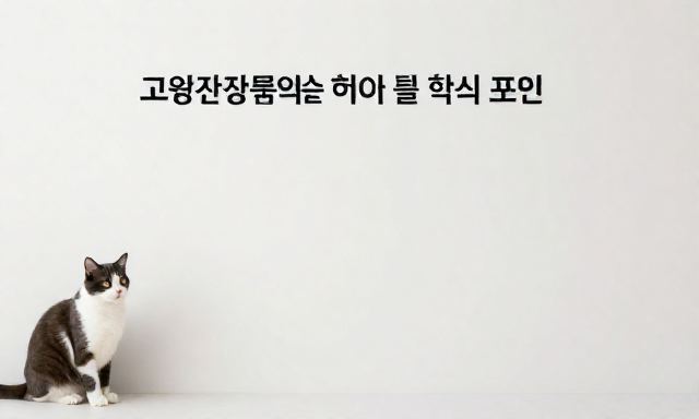 고양이장례식장 관련 이미지 - 고양이장례식장 선택 전 반드시 체크해야 할 핵심 포인트와 마음의 준비