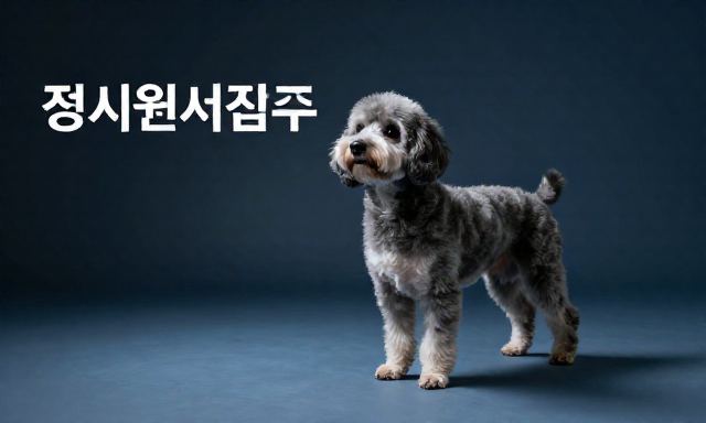 정시원서접수 참고 이미지 2