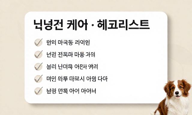 마곡동물병원 관련 대표 이미지