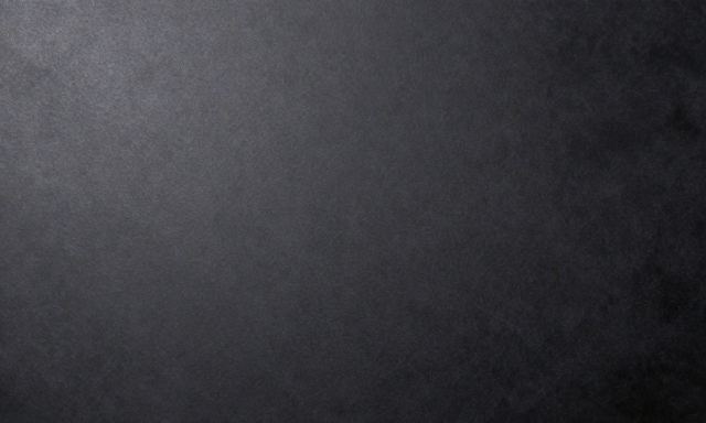 일산애견미용학원 관련 대표 이미지