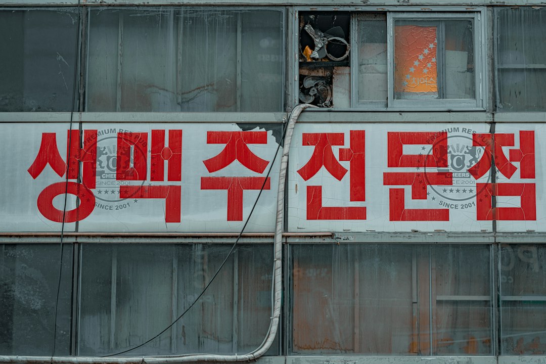 애견미용비용 참고 이미지 2